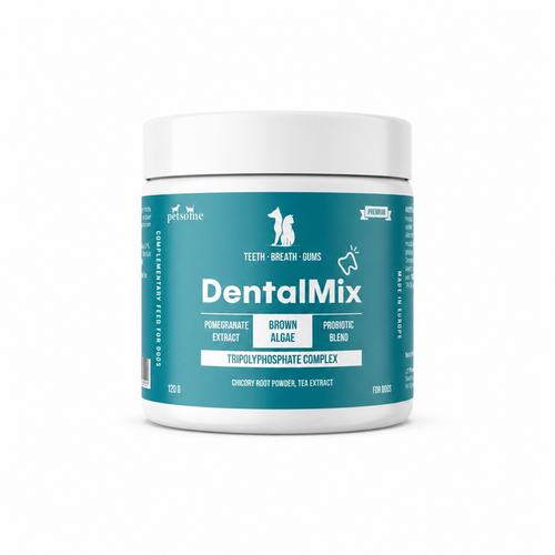 1x DentalMix 
