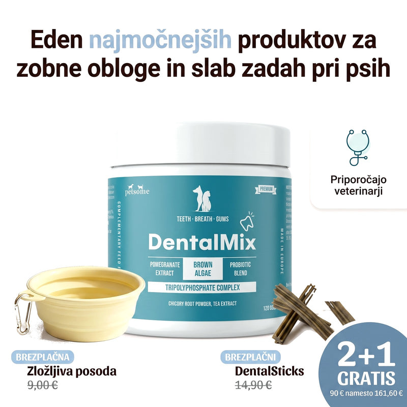 DentalMix
