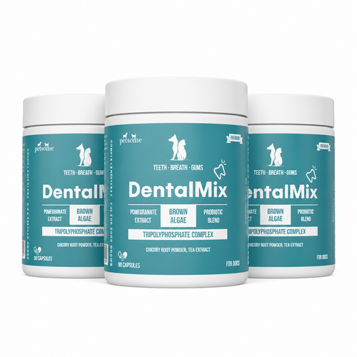 3x DentalMix