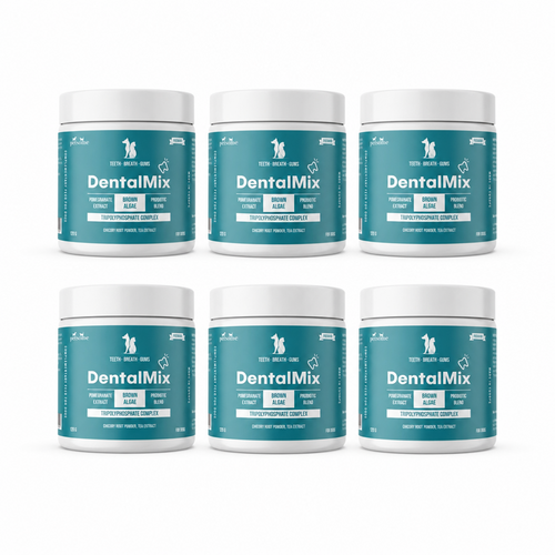 6x DentalMix