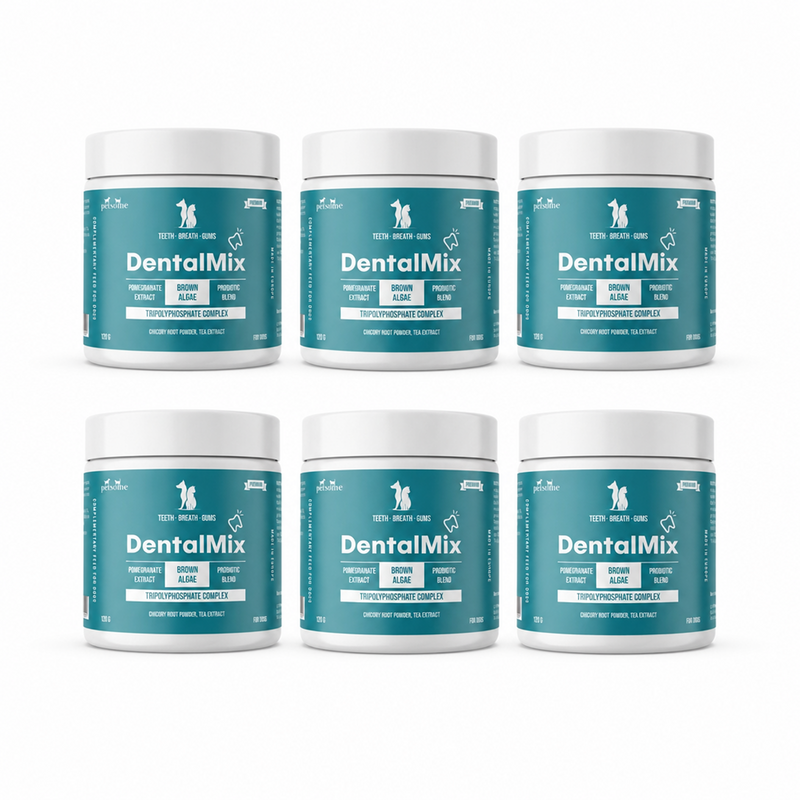 6x DentalMix