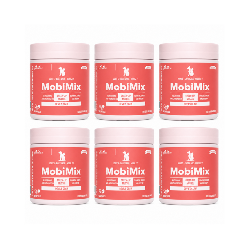 6x MobiMix