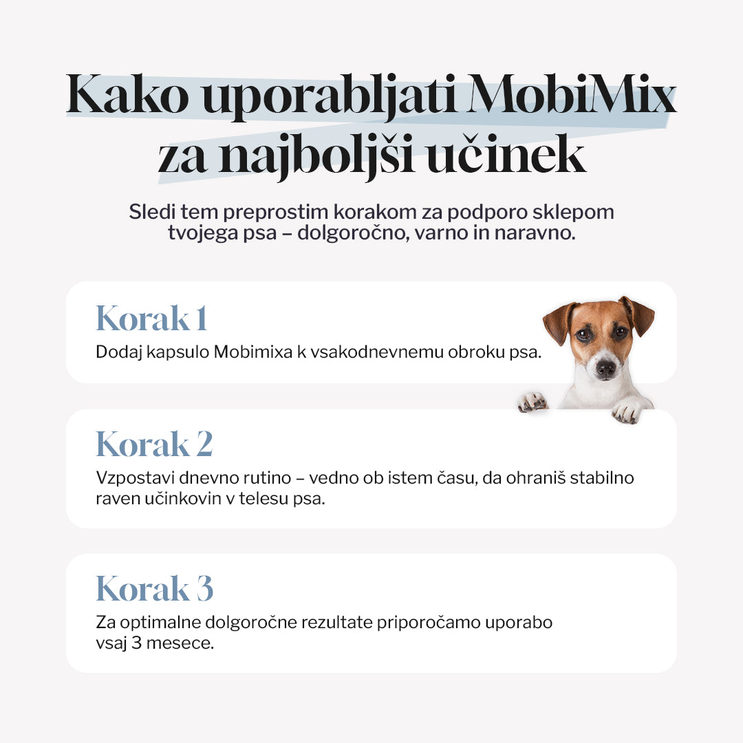 MobiMix - Pacchetto iniziale
