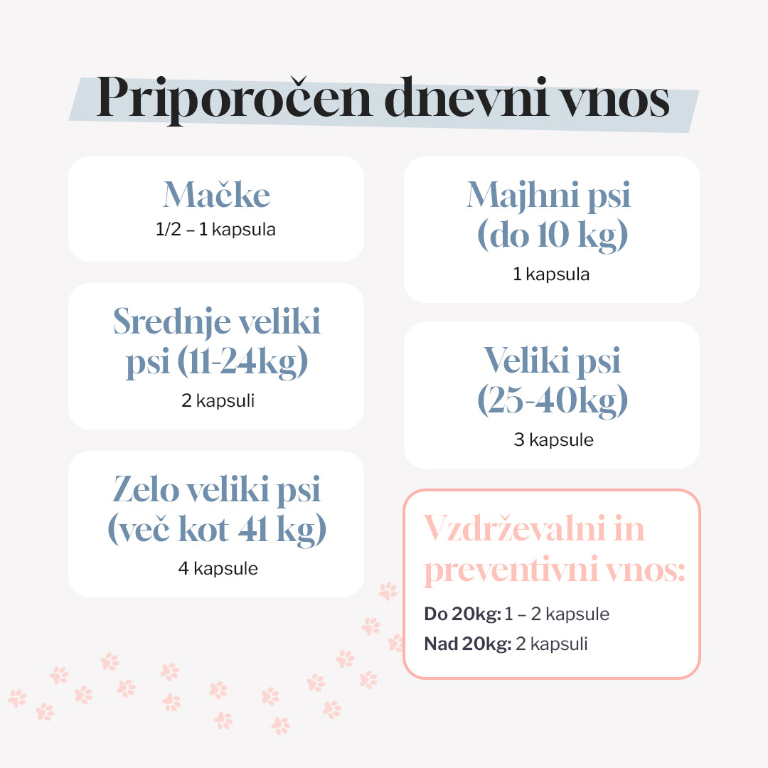 MobiMix - Začetni paket