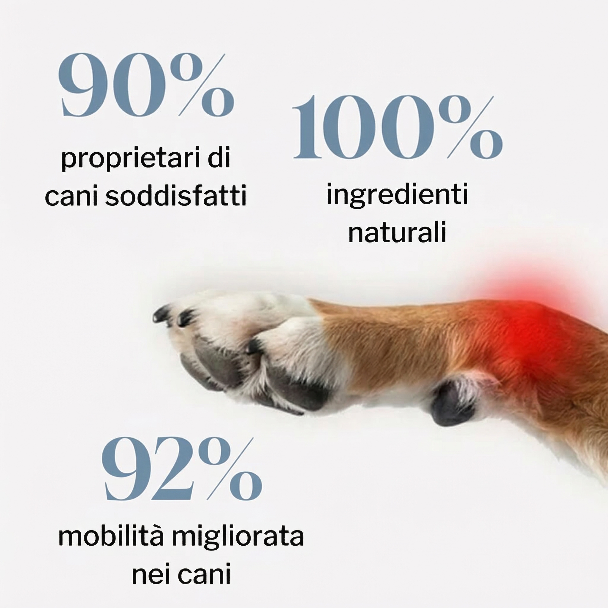 MobiMix za velike pse 