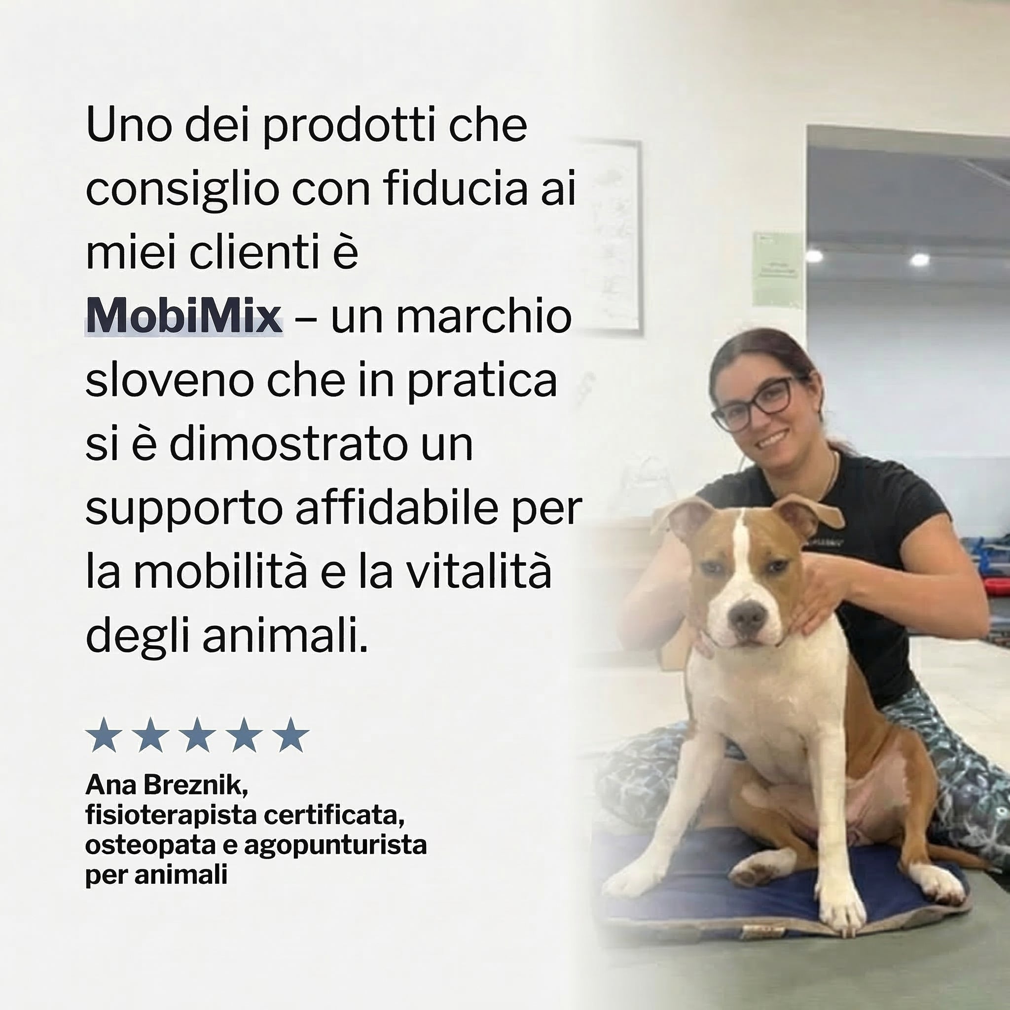 MobiMix za velike pse 