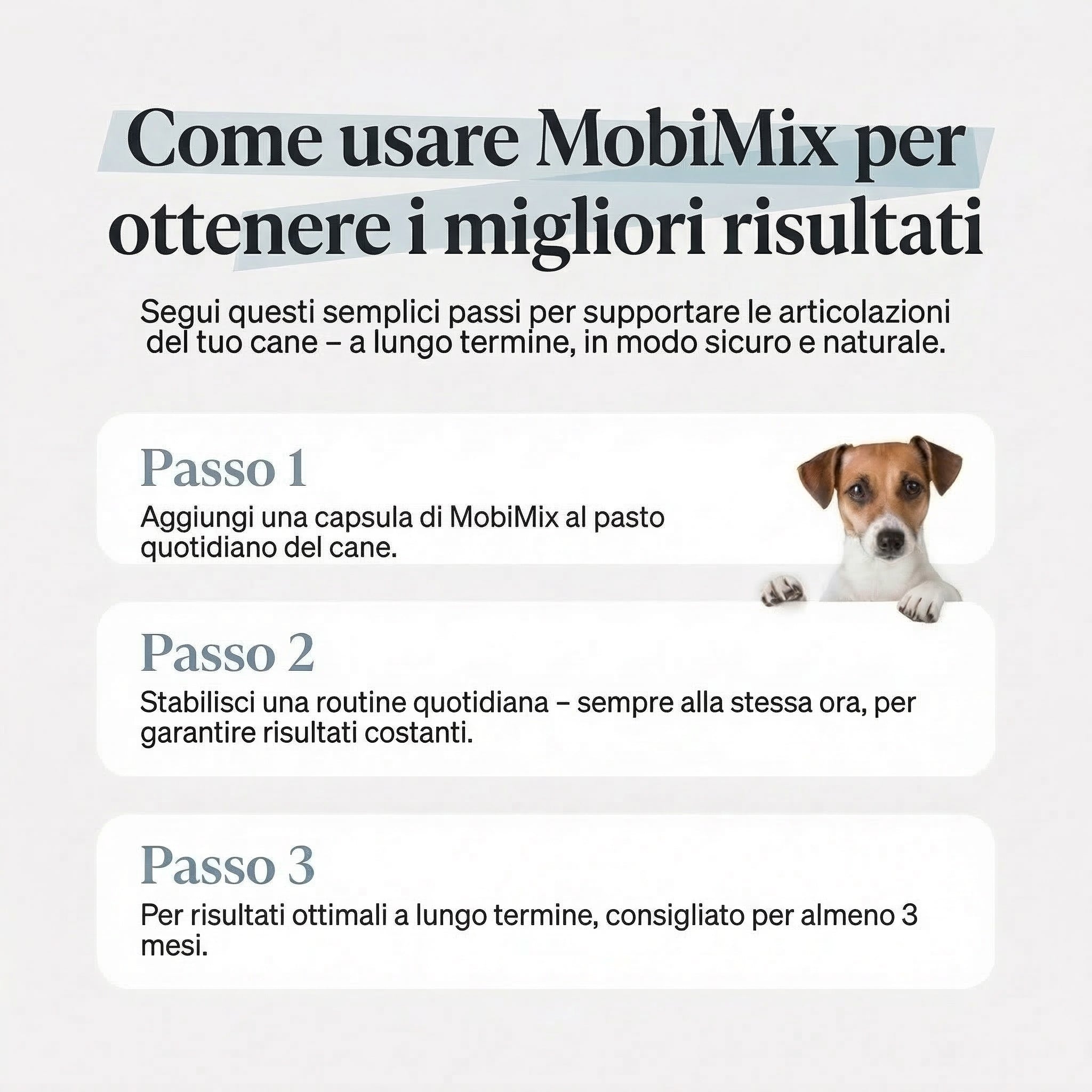 MobiMix za velike pse 