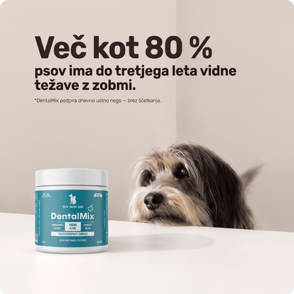 DentalMix