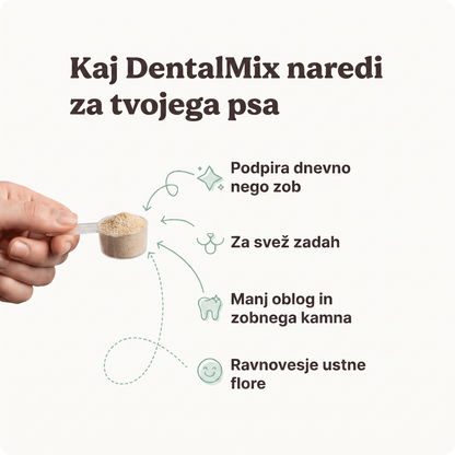 DentalMix
