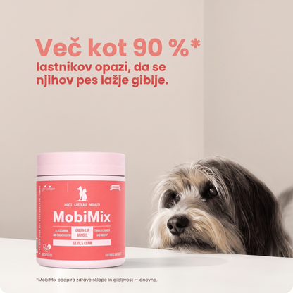 MobiMix