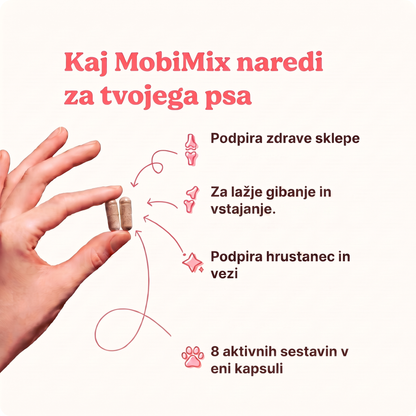 MobiMix